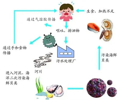 图片二.jpg